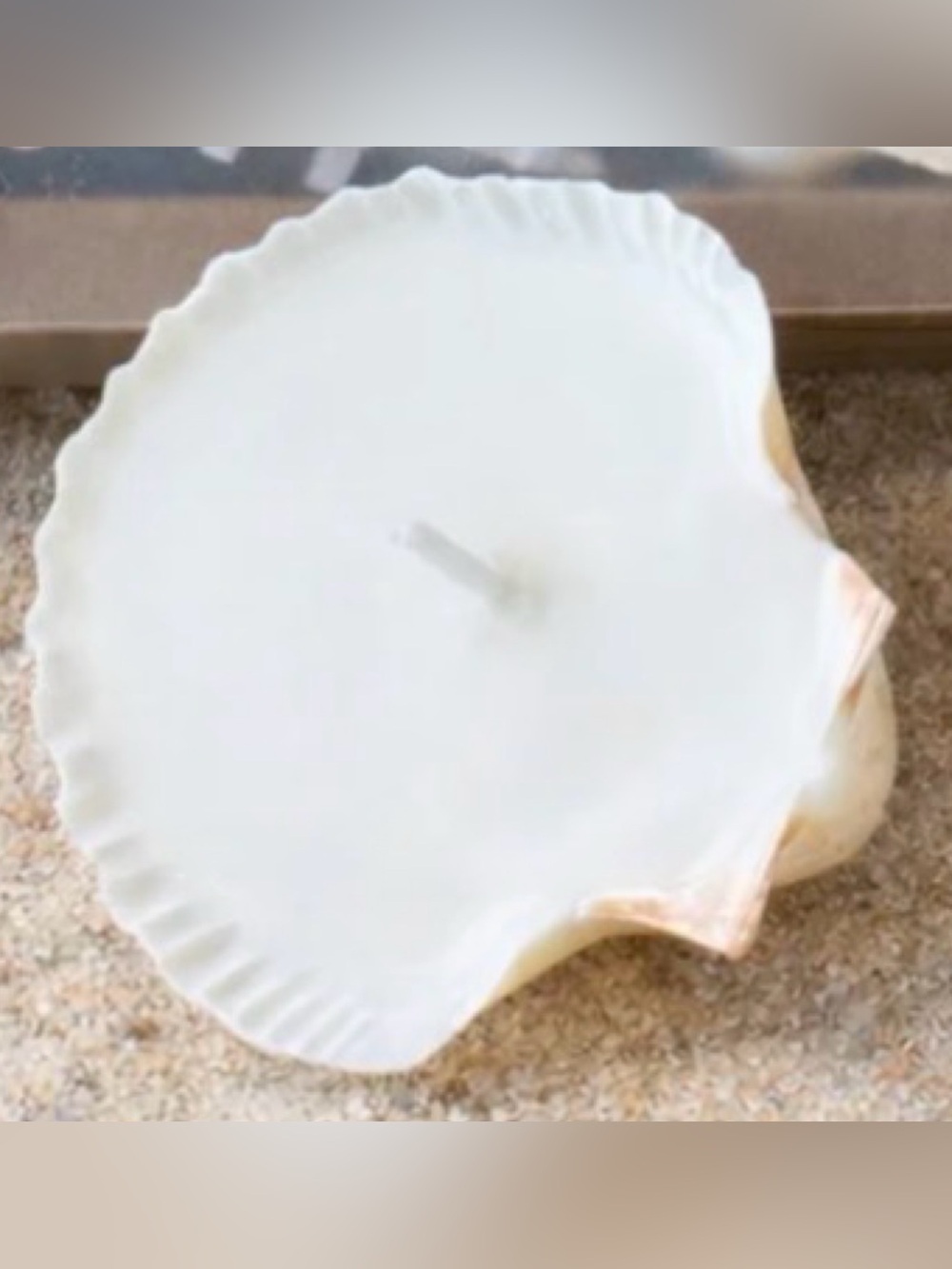 Bramble & Co. sea scallop candle